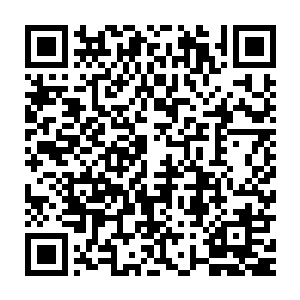 每次都诞生一个龙族天仙――在当代龙王身上聚拢着整个龙族气运二维码生成