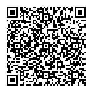 每每想到那封信差一点点就要落到审判官的手中时他又忍不住冷汗直冒――他心底里还是下意识地想要保护母后的二维码生成