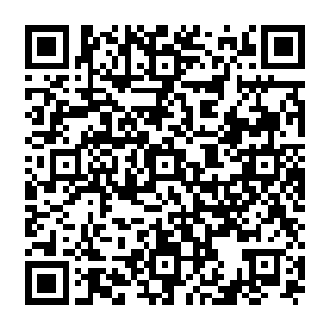 每颗果实将激活堡主大人身体之中蕴含的与黄金独角仙相同力量基因片段的1分之1二维码生成