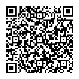 每颗果实将激活堡主大人身体之中蕴含的与黄金独角仙相同力量基因片段的1800分之1二维码生成