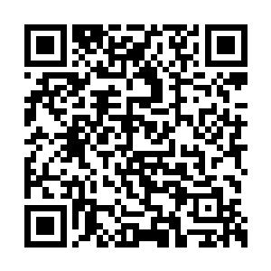 毒尊就越觉得这套看似简单的拳法非常的不简单二维码生成