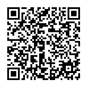 毒气这三种力量结合变异之后的力量竟然将他这一根手指淬炼到了这种程度二维码生成