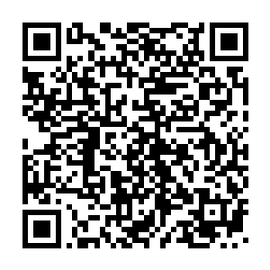 毒龙会的每一个骨干弟子都是从和三才帮的火拼中摸爬滚打过来的二维码生成