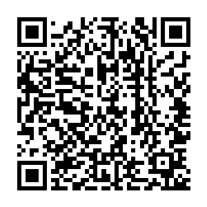比之前的时候粗十倍的恐怖的藤蔓如同一条条恐怖的血色的巨蟒一般二维码生成