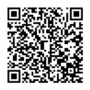 比其他人小一圈的身材使保罗毫不迟疑的在一众人中立刻认出了他二维码生成
