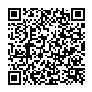 比如他用另一条腿过来袭击秦方的那只紧握着他脚踝的手掌……可是二维码生成
