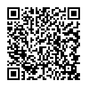 比如取消民告官的限制和加重贪污受贿的刑罚他们也与其他官吏一样持反对意见二维码生成