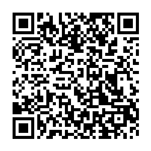 比如和亚历克森家族一直保持着密切联姻关系的维特根斯坦家族……二维码生成
