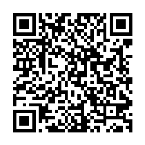 比如帝国综合学院就有过很多在某次课外教学中表现异常优秀二维码生成