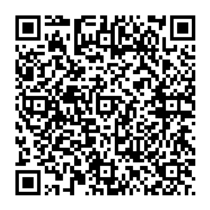 比如李阁老家中就拥有不少可以增强我们翡翠国士兵身体素质的锻炼之法和提高我们翡翠国农田产量的方法二维码生成