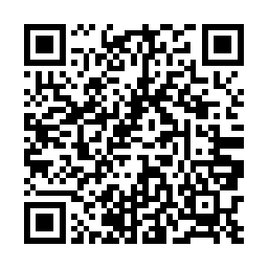 比如莫凡的寒冰佣兵团标志图案是是两把剑交叉在一起二维码生成