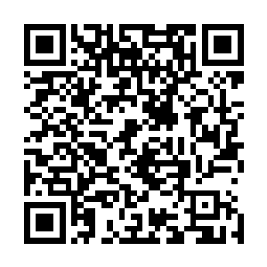 比我们守护家族那经过数十名圣帝铸造的帝王神器还要可怕二维码生成
