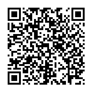 比秦方这个小年轻强大了太多的……即便是秦方执掌传世神器又怎么样二维码生成