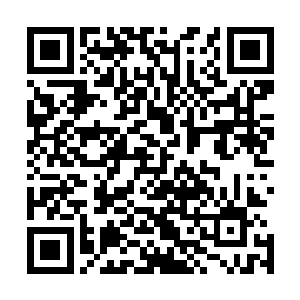 比试的顺序是第一轮上届第一的神机宗对上届的第九百花宗二维码生成