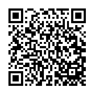 比起板儿砖这种又趁手又便宜的攻击单位来说没有什么竞争优势二维码生成