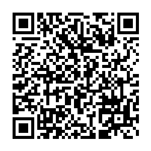 比起鸿蒙刀诀那种需要不停战斗和专门提升刀修之力的罕见机缘比起来二维码生成