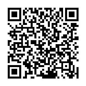 比起LPL的战队动不动十几个人一起的排场简直寒酸多了二维码生成