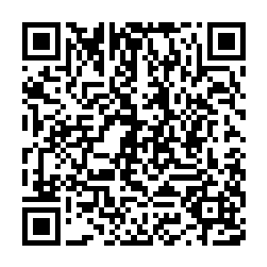 毕业以后可以选择继续留在九鼎门的军队里面继续积攒战功或者离开二维码生成