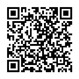 毕业后直接可以做到总经理的位置接管如此重要的建筑项目二维码生成