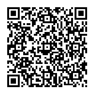 毕尔巴多斯也是非常狼狈的隐藏在这里……亚瑟王和十二圆桌骑士就像是疯狗似的追踪着他二维码生成