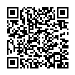 毕竟…之前外面都在传说叶家三小姐是无才无德无貌的三无千金二维码生成