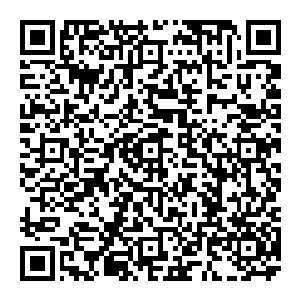 毕竟一个压根就没有怎么接触过编程知识更没展现过这方面天赋的家伙会是一个世界第一超级黑客太过匪夷所思了些二维码生成