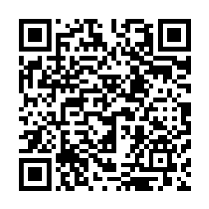 毕竟上一次的比试叶然可是将后续发生的一切都是预料到了二维码生成