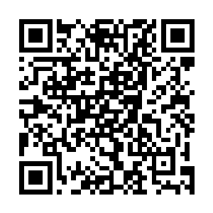 毕竟他们之前很多人已经乘坐灵舰离开了浩宇界的主大陆二维码生成