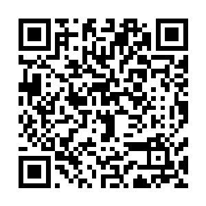 毕竟他们可并非是和别的家族或者门派一般是为了宝物而来二维码生成