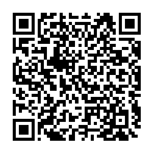 毕竟他们来这里是为了寻找材料给自己的明日的拍卖行一行做准备的二维码生成