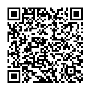 毕竟他是名声在外的史诗英雄甚至其他人对他人品和实力的信任和依赖二维码生成