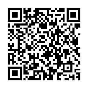 毕竟他是用这些自己看来并没有什么价值的灵药去当做兑换条件二维码生成