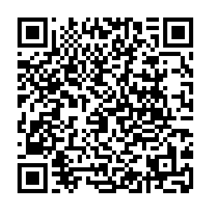 毕竟他这种什么都不会做的人实在没法在看到凌菲那么累以后还给她揽事二维码生成