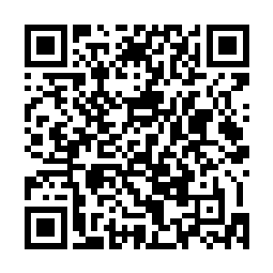 毕竟以龙傲天以往的行事风格来看他今天已经算是留手了二维码生成