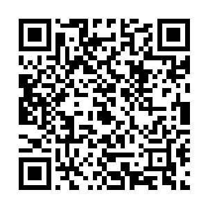 毕竟众所周知yc这支战队在夏季赛上的表现非常糟糕二维码生成