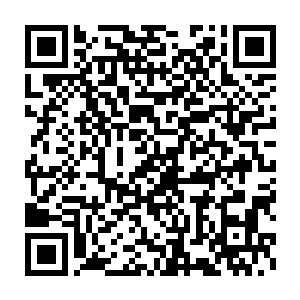 毕竟体内的怨念还是极大的隐患……或许猎杀那狂暴魔猿会是一个机会二维码生成