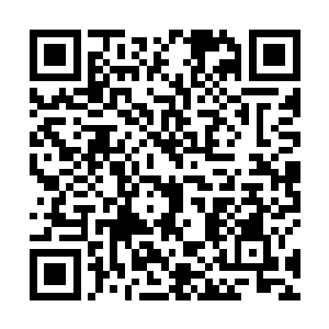 毕竟你的大脑最近正在疯狂吸收翡翠号历代舰长的传承二维码生成