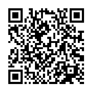 毕竟修真的手段可不是这个大陆的斗气和魔法可以相比的二维码生成