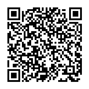 毕竟凌兰与李兰枫现在操控的机甲是他们主舰专属的高级制式机甲二维码生成