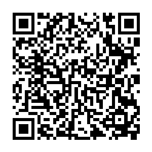 毕竟利物浦和曼城的成绩差太多了……况且达格利什在利物浦的工作也很出色二维码生成