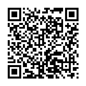 毕竟双方的真实实力还未至于去到一面倒的压倒性差距二维码生成