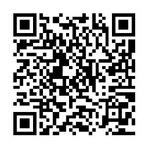 毕竟另外五宗我已经让左清玄用一纸调令把他们转变了过来二维码生成