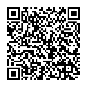 毕竟和这样的高手战斗就算最后能把他杀掉自己这边的损失也会非常巨大二维码生成