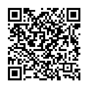 毕竟哦从事情发生到现在仅仅不过是过去了一夜的时间而已二维码生成