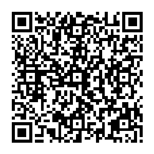 毕竟在之前的比赛中大家都已经看到了这支新生的1cd战队所具有的巨大潜力和爆力二维码生成