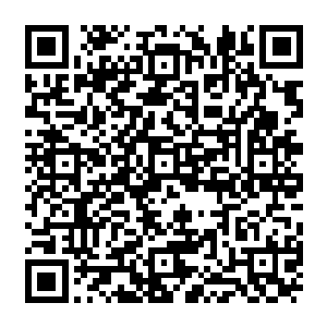 毕竟在小世界中被她护着当一个公主或皇子无忧无虑的过一辈子也是不错的一生了二维码生成