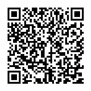 毕竟她体内所有的真气已经在先前的逃跑和念咒语消耗得差不多了二维码生成
