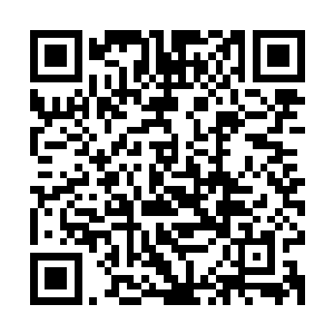 毕竟她这次前来南方开宗立派是得到了上元盟和九大宗门的支持二维码生成