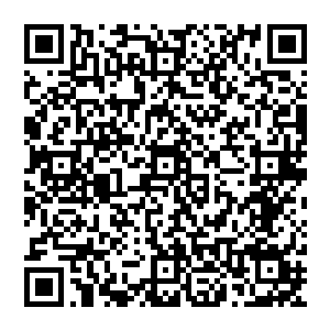 毕竟如今他在军中的资历尚且不足以去向马纵横献上这会赌上他性命以及整个天下气运的计策二维码生成