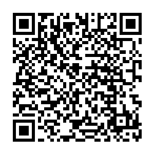 毕竟学院中一些出生在贵族家庭以及豪门的子弟从小就受到过家族中的教育二维码生成